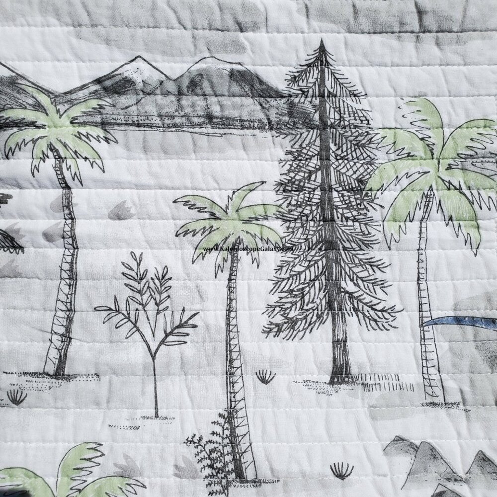 7 Piece Dinosaur Full Size Quilt ~ Sheets ~ Shams ~ Gray Blue Green ~ Dinosaurs - Picture 6 of 7